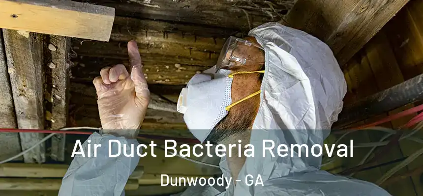 Air Duct Bacteria Removal Dunwoody - GA
