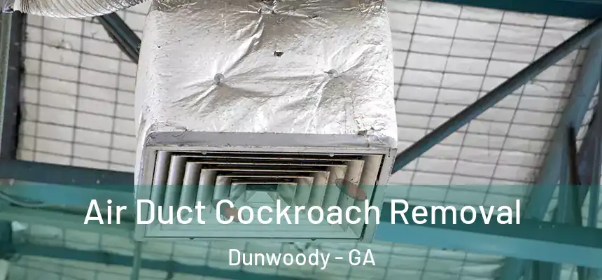 Air Duct Cockroach Removal Dunwoody - GA