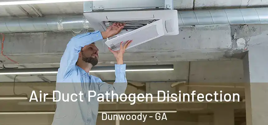 Air Duct Pathogen Disinfection Dunwoody - GA