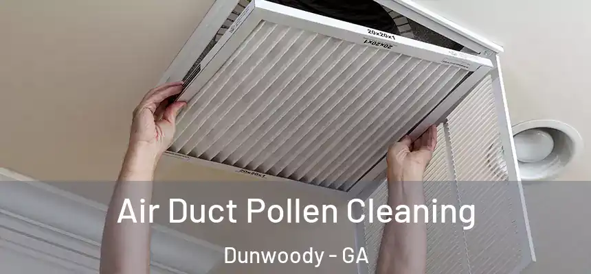 Air Duct Pollen Cleaning Dunwoody - GA