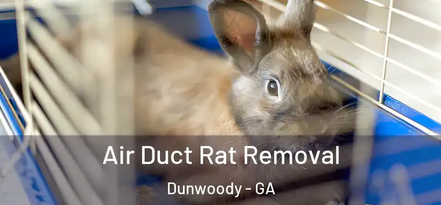 Air Duct Rat Removal Dunwoody - GA