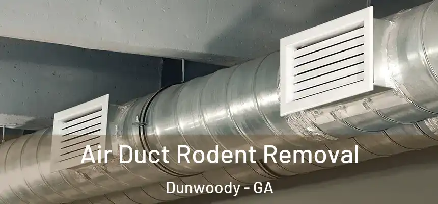 Air Duct Rodent Removal Dunwoody - GA