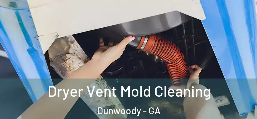Dryer Vent Mold Cleaning Dunwoody - GA
