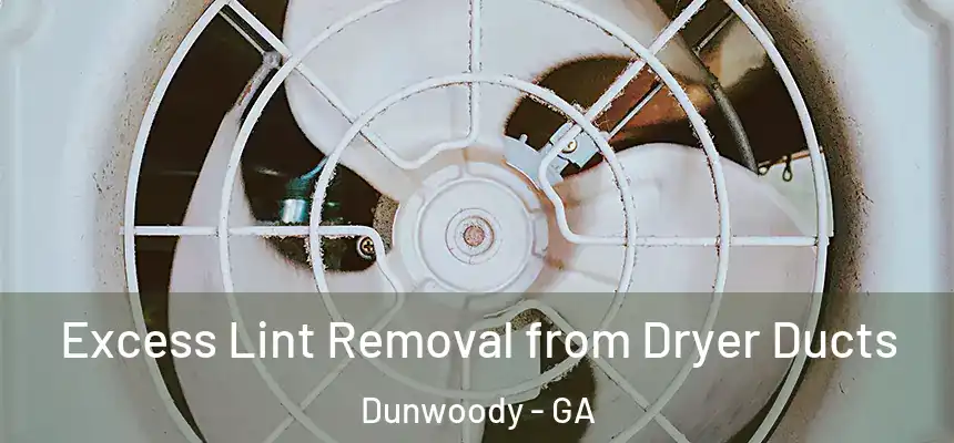  Excess Lint Removal from Dryer Ducts Dunwoody - GA