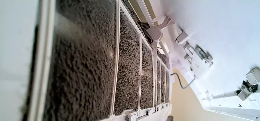 Preventive Air Duct Bacteria Removal in Dunwoody