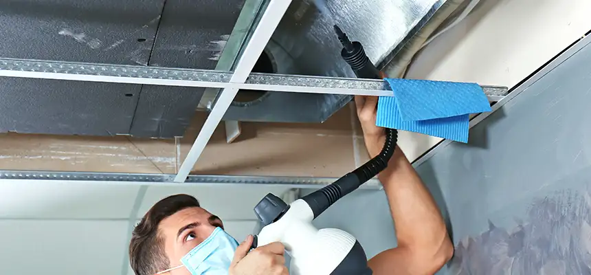 Our Air Duct Rodent Removal Services in Dunwoody, GA
