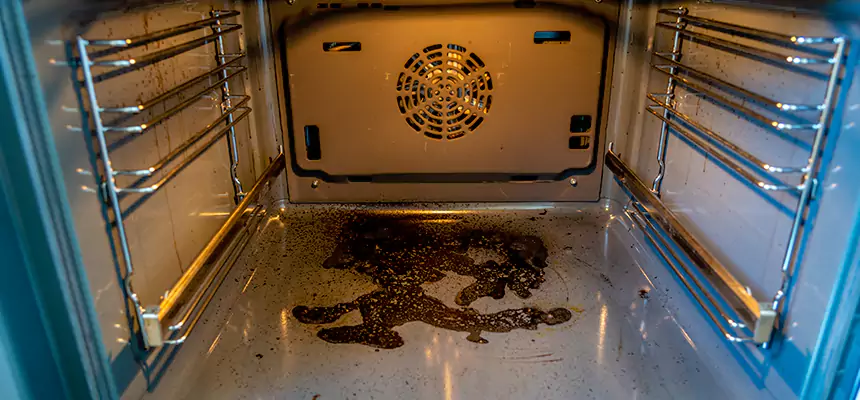 Our Dryer Vent Mold Cleaning Services in Dunwoody, GA