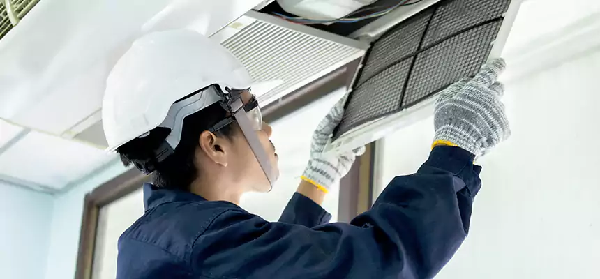 Our Mold & Mildew Removal from Air Ducts Services in Dunwoody, GA