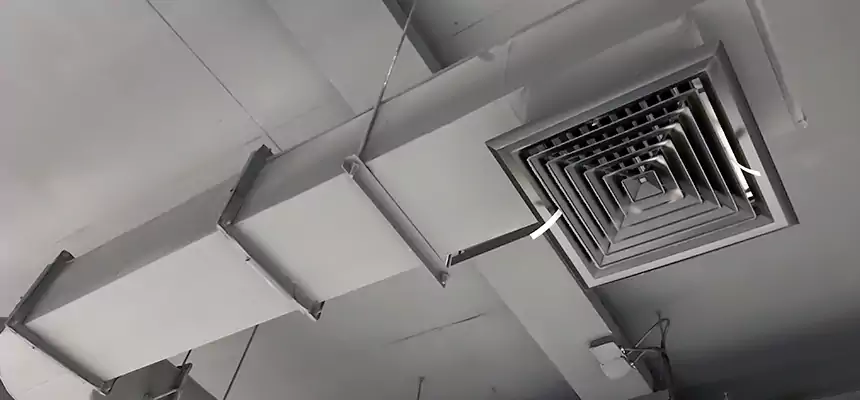 Our Pest Removal From Ducts Services in Dunwoody, GA