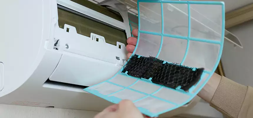 Gentle Ductwork Odor-Control Pet Dander Duct Cleaning in Dunwoody, GA