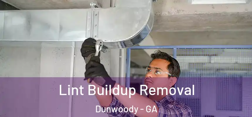 Lint Buildup Removal Dunwoody - GA