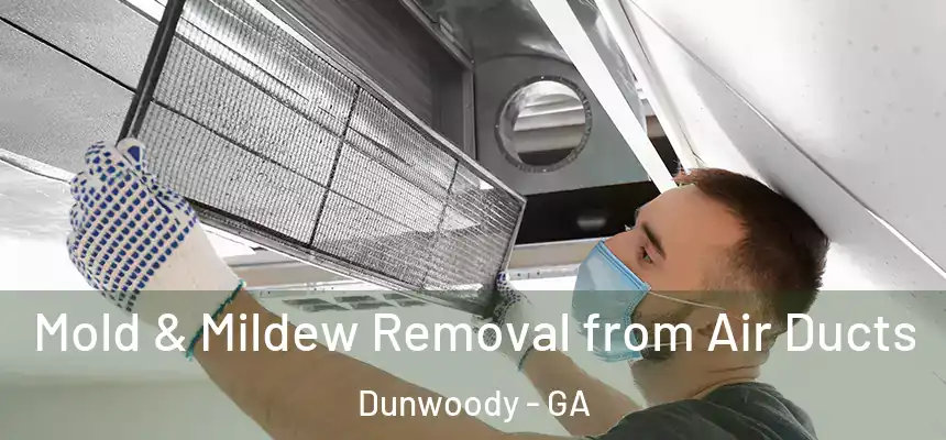  Mold & Mildew Removal from Air Ducts Dunwoody - GA