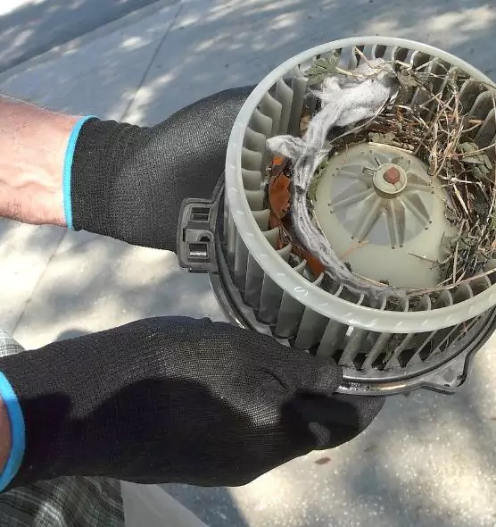 About Air Duct Rat Removal in Dunwoody, GA