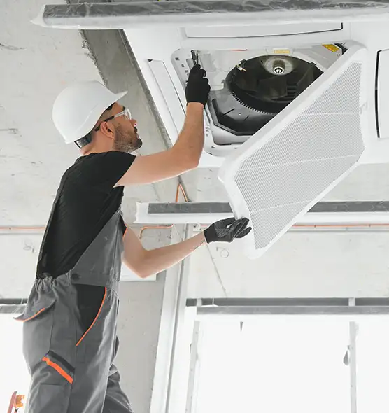 About Air Duct Rodent Removal in Dunwoody, GA