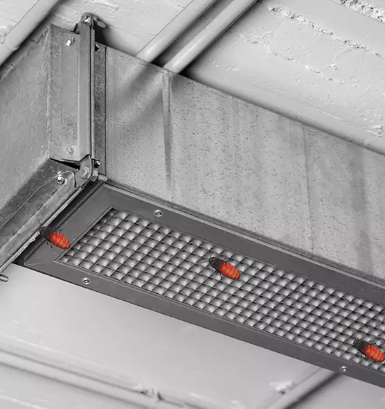 Affordable Insect Removal from Air Ducts in Dunwoody, GA