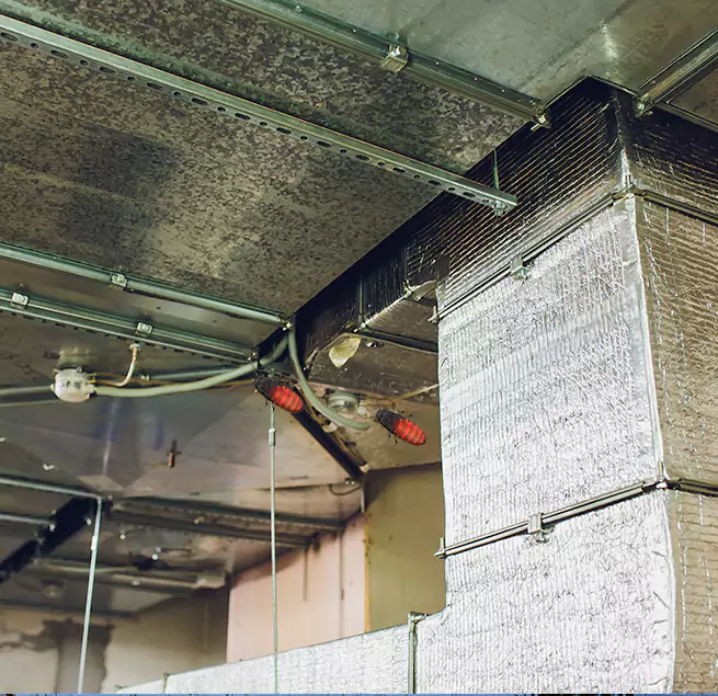 Why Homeowners & Businesses Trust Us in Dunwoody, GA?