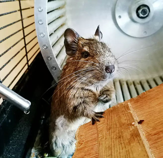 Why Homeowners & Businesses Trust Us Dunwoody, GA