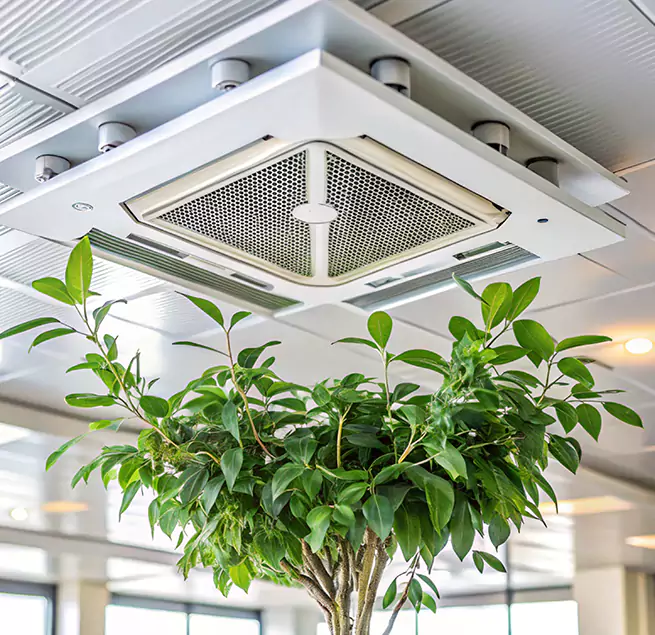 Why Homeowners & Businesses Trust Us in Dunwoody, GA?